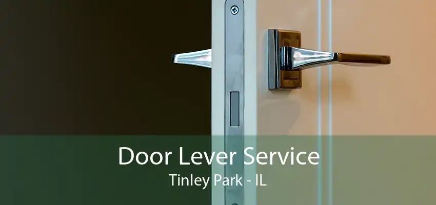 Door Lever Service Tinley Park - IL