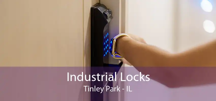 Industrial Locks Tinley Park - IL